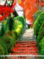 Flowers At Stairs
