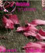 Petals N Rain