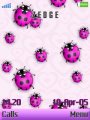 Ladybugs