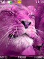 Pink Lions