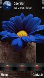 blue Flower