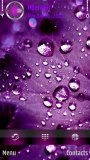 Purple Drops