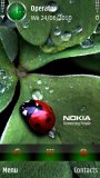 Bug Nokia