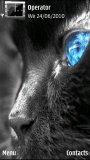 Grey Cat Blue Eye