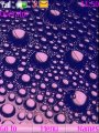 Purple Dew Drops