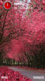Pink Nature
