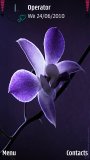Blue Orchid