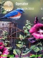Bird Garden New
