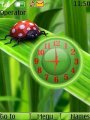 Bug Clock