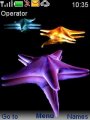 Sea star fish