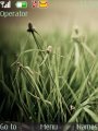 Nokia Animated Grass