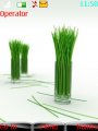 Abstract Bamboo