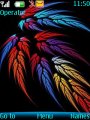 Colorful Feathers