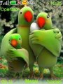 Parrot Family