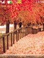 Autumn Nature