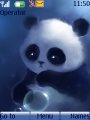 Little Panda