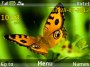 3d butterfly