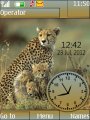 Cheetah Dual Clock