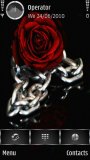 Gothic rose