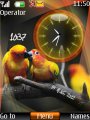 Parrot dual clock