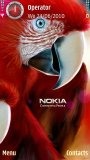 Nokia bird
