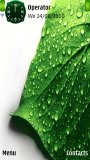 Water drop leaf