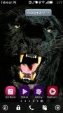 Black panther hd