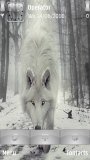Winter wolve