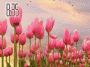 Animated pink flower