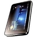 ZTE PF 100