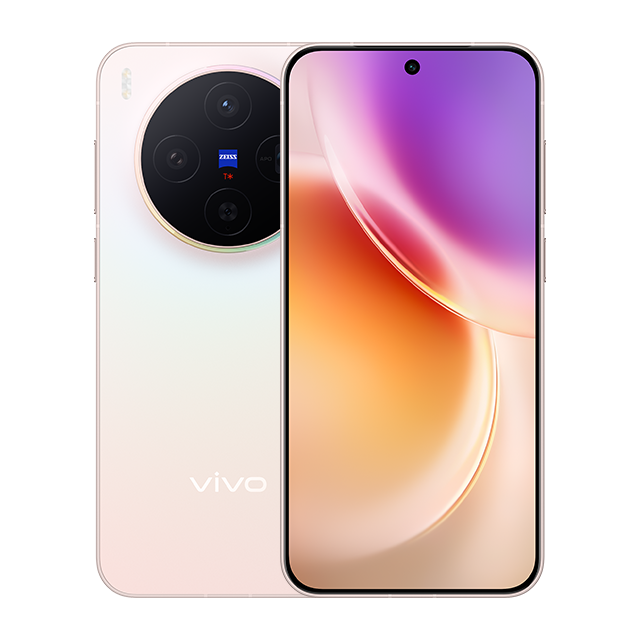 Vivo X300