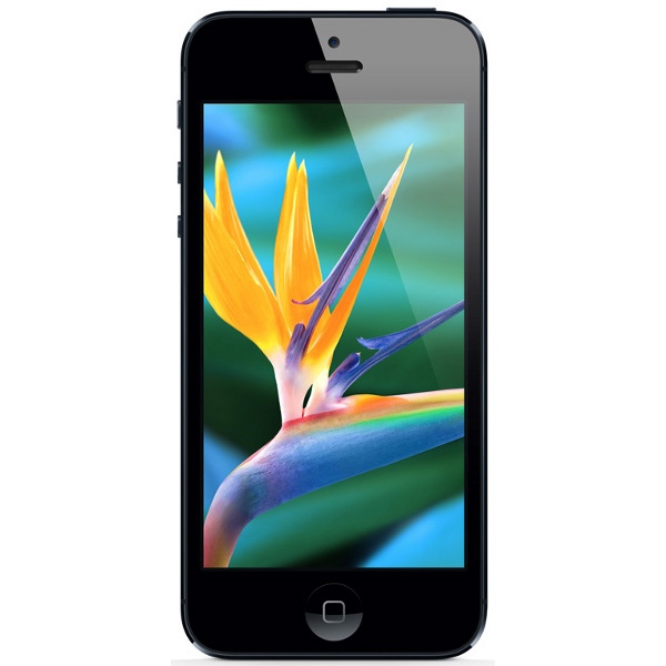 Apple iPhone 5 16Gb