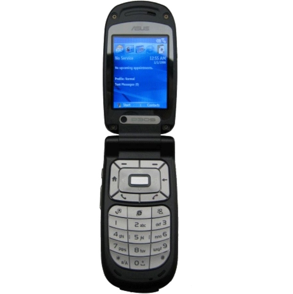 ASUS P305