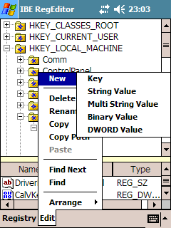 IBE Registry Editor v1.1