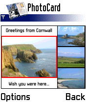 WildPalm PhotoCard WildPalm PhotoCard