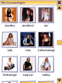PDAmill Viewer v1.0