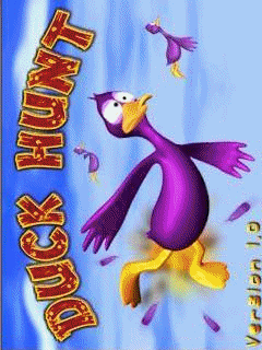 Duck Hunt
