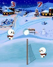 Snow Volley