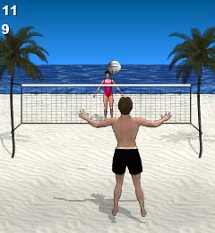 Beach Volleyball Beach Volleyball
