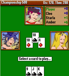 Championship Five Hundred Pro Card Game