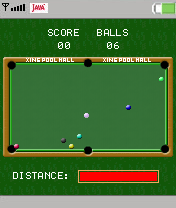 Pool Billiards Champs