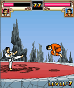 Wushu - Way of the Warrior