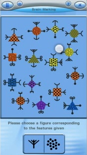 Spb Brain Evolution