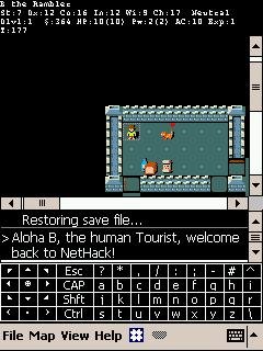 NetHack