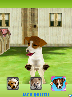 Dogz