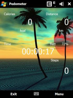 Pedometer
