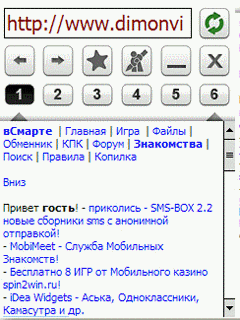 NieWebBrowser